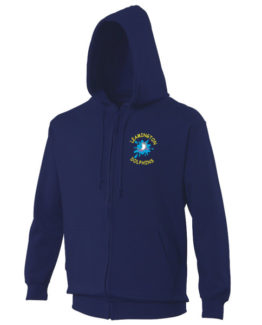 Dolphins Adult Hoodie