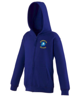 Dolphins Kids Hoodie